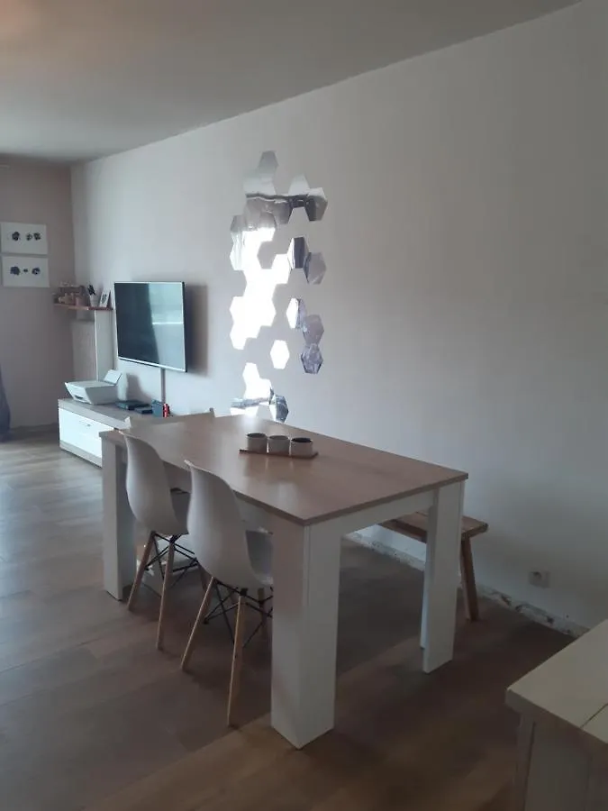 Appartement 3P Avec Garage Proche Aeroport, Tramway Et Avec Toutes Commodites! Nizza 0*,